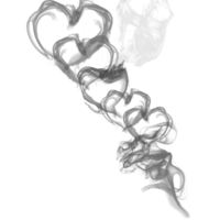 nature & Smoke free transparent png image.