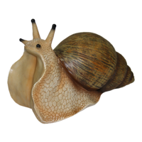 animals & snails free transparent png image.