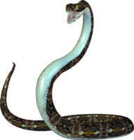 animals & Snake free transparent png image.