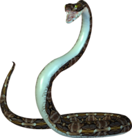 animals & snake free transparent png image.