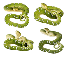 animals & snake free transparent png image.