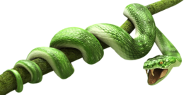 animals & snake free transparent png image.