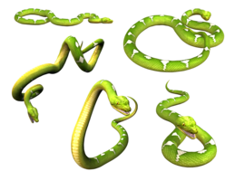 animals & snake free transparent png image.