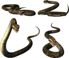 animals & snake free transparent png image.