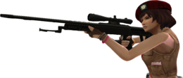 weapons & Sniper free transparent png image.