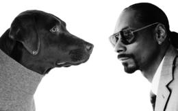 celebrities & Snoop Dogg free transparent png image.