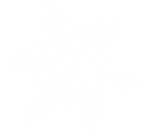 nature & Snowflakes free transparent png image.