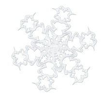 nature & snowflakes free transparent png image.