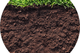 nature & soil free transparent png image.