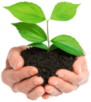 nature & soil free transparent png image.