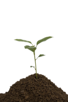 nature & Soil free transparent png image.