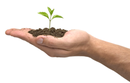 nature & Soil free transparent png image.