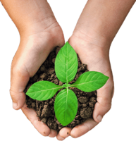 nature & soil free transparent png image.