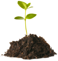 nature & Soil free transparent png image.