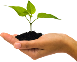 nature & Soil free transparent png image.