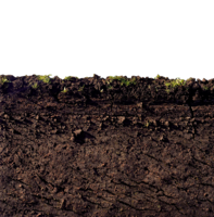 nature & Soil free transparent png image.