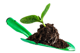 nature & soil free transparent png image.