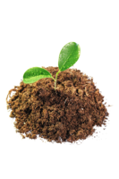 nature & soil free transparent png image.