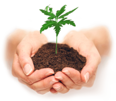 nature & soil free transparent png image.