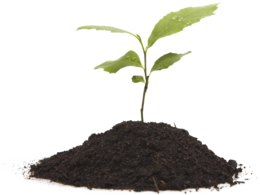 nature & Soil free transparent png image.