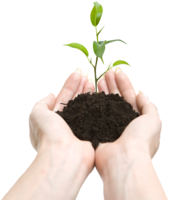 nature & soil free transparent png image.