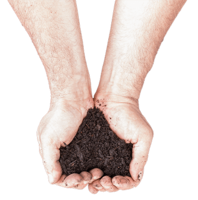 nature & Soil free transparent png image.