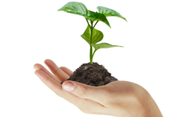 nature & Soil free transparent png image.