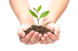 nature & Soil free transparent png image.