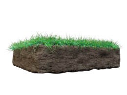 nature & soil free transparent png image.