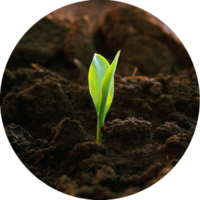 nature & Soil free transparent png image.