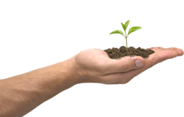 nature & Soil free transparent png image.