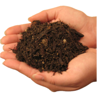 nature & soil free transparent png image.