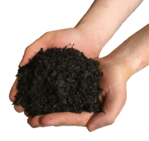 nature & soil free transparent png image.