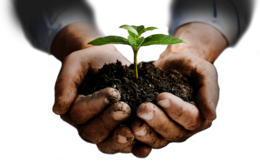 nature & Soil free transparent png image.