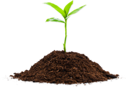 nature & soil free transparent png image.