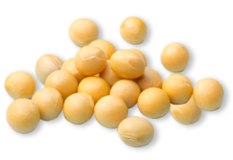vegetables & Soybean free transparent png image.