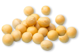 vegetables & soybean free transparent png image.