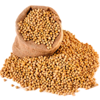 vegetables & soybean free transparent png image.