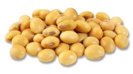 vegetables & soybean free transparent png image.