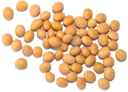 vegetables & soybean free transparent png image.