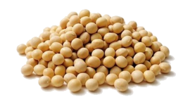 vegetables & soybean free transparent png image.