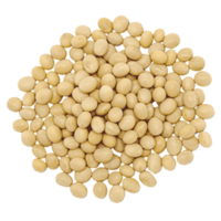 vegetables & Soybean free transparent png image.
