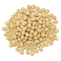 vegetables & soybean free transparent png image.