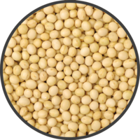 vegetables & soybean free transparent png image.