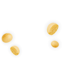 vegetables & soybean free transparent png image.