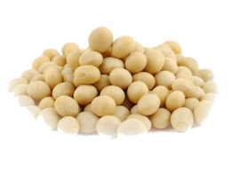 vegetables & soybean free transparent png image.