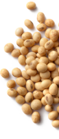 vegetables & Soybean free transparent png image.