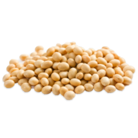 vegetables & Soybean free transparent png image.