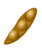 vegetables & Soybean free transparent png image.