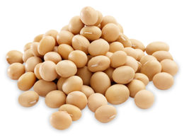 vegetables & soybean free transparent png image.